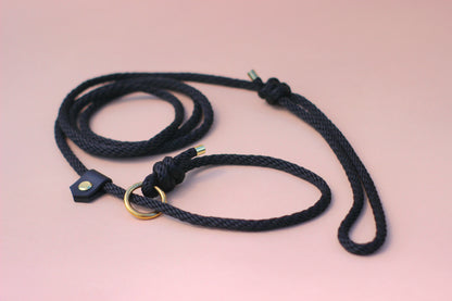 Slip on dog show leash - Color choice