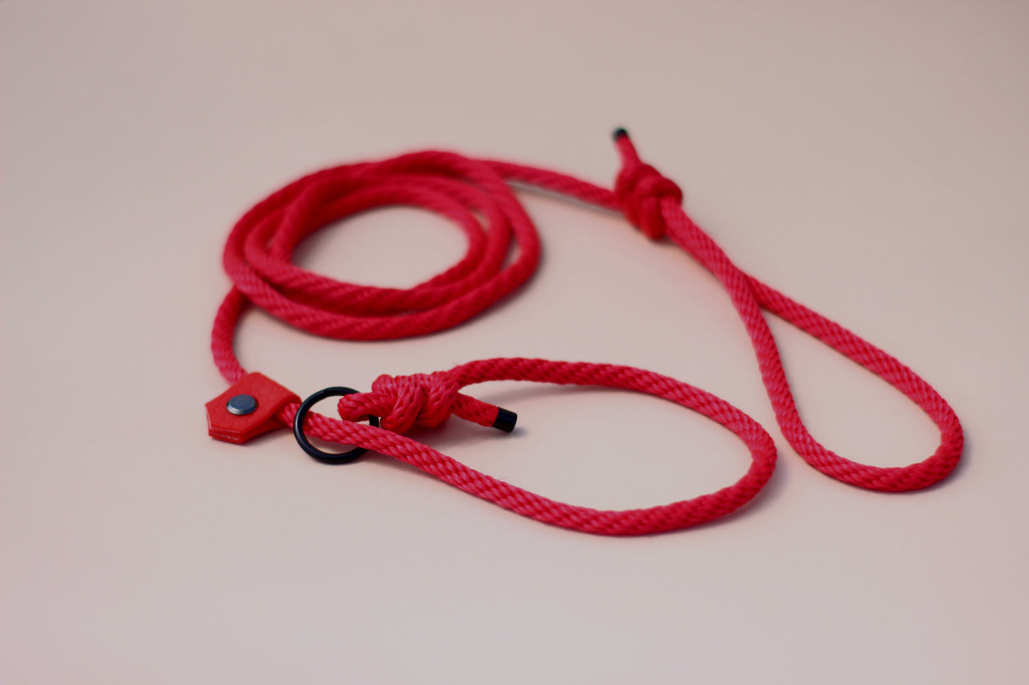 Slip on dog show leash - Color choice