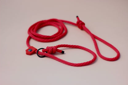 Slip on dog show leash - Color choice