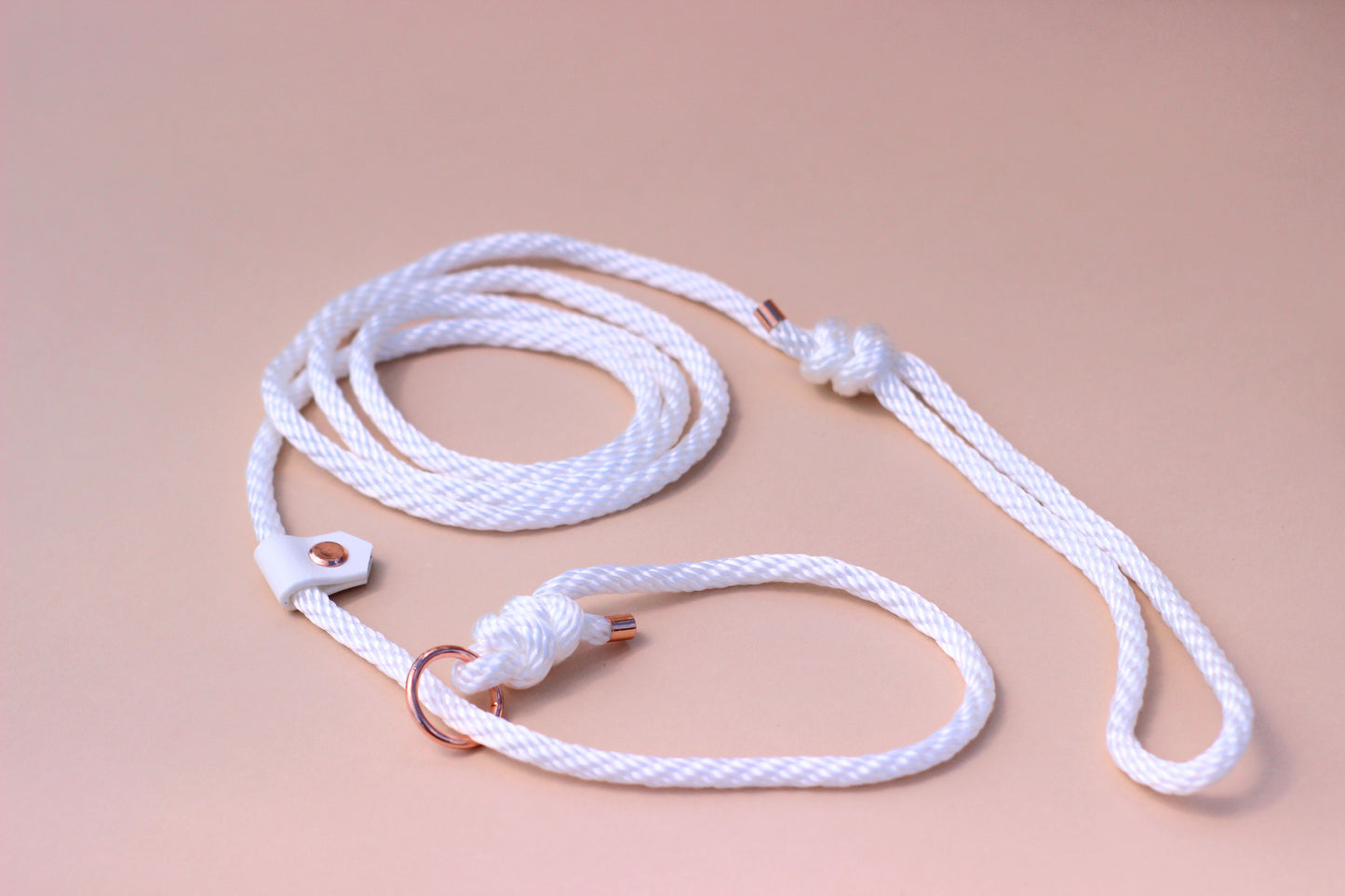 Slip on dog show leash - Color choice