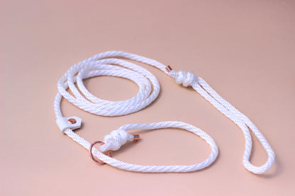 Slip on dog show leash - Color choice