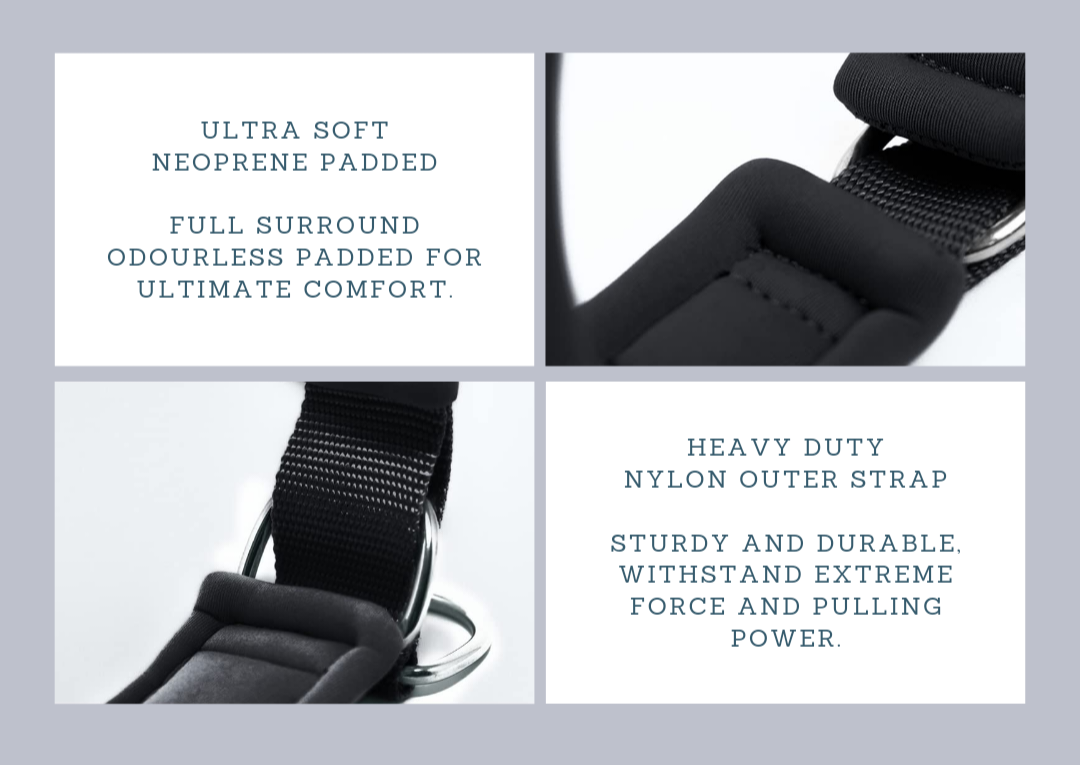 apraksts mikstai kakla siksnai