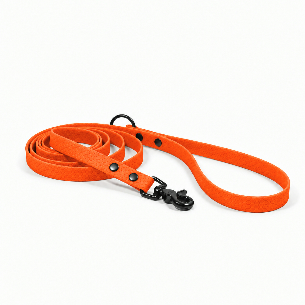 Orange Hexa pavada sunim, 16 mm plata