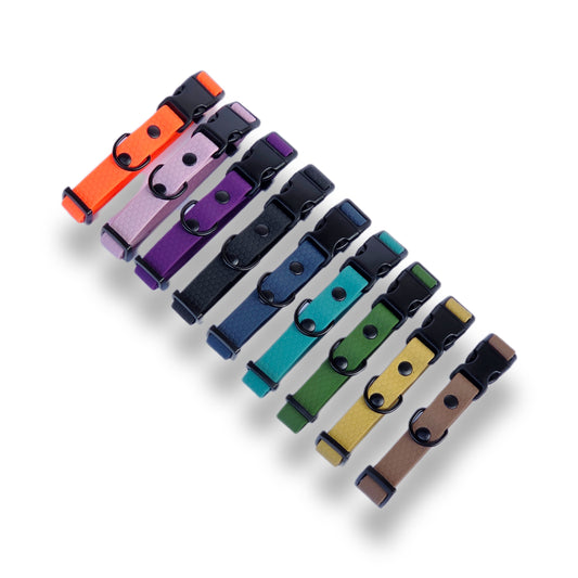 Hexa Light Waterproof dog collar - Color choice