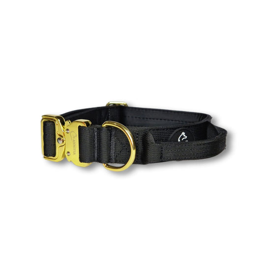 Black dog collar with gold hardware on a white background