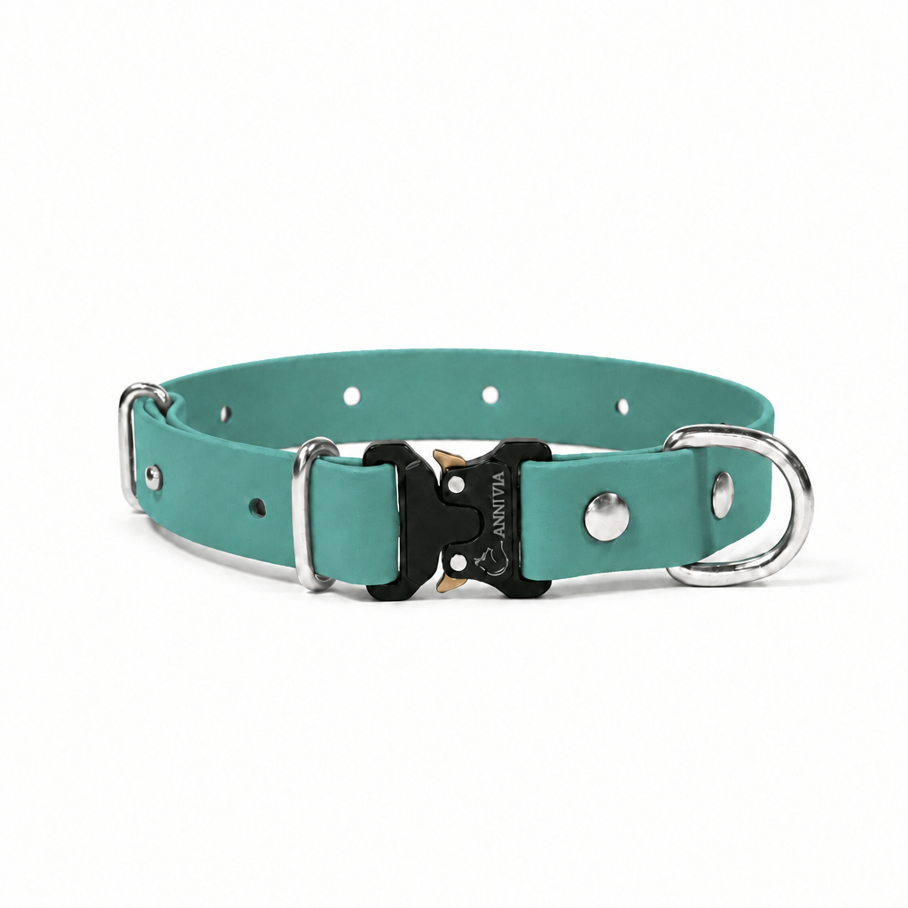 Dusty Turquoise suņu kakla siksna ar nerūsējošā tērauda furnitūru, elegance