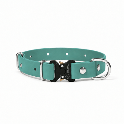 Dusty Turquoise suņu kakla siksna ar nerūsējošā tērauda furnitūru, elegance