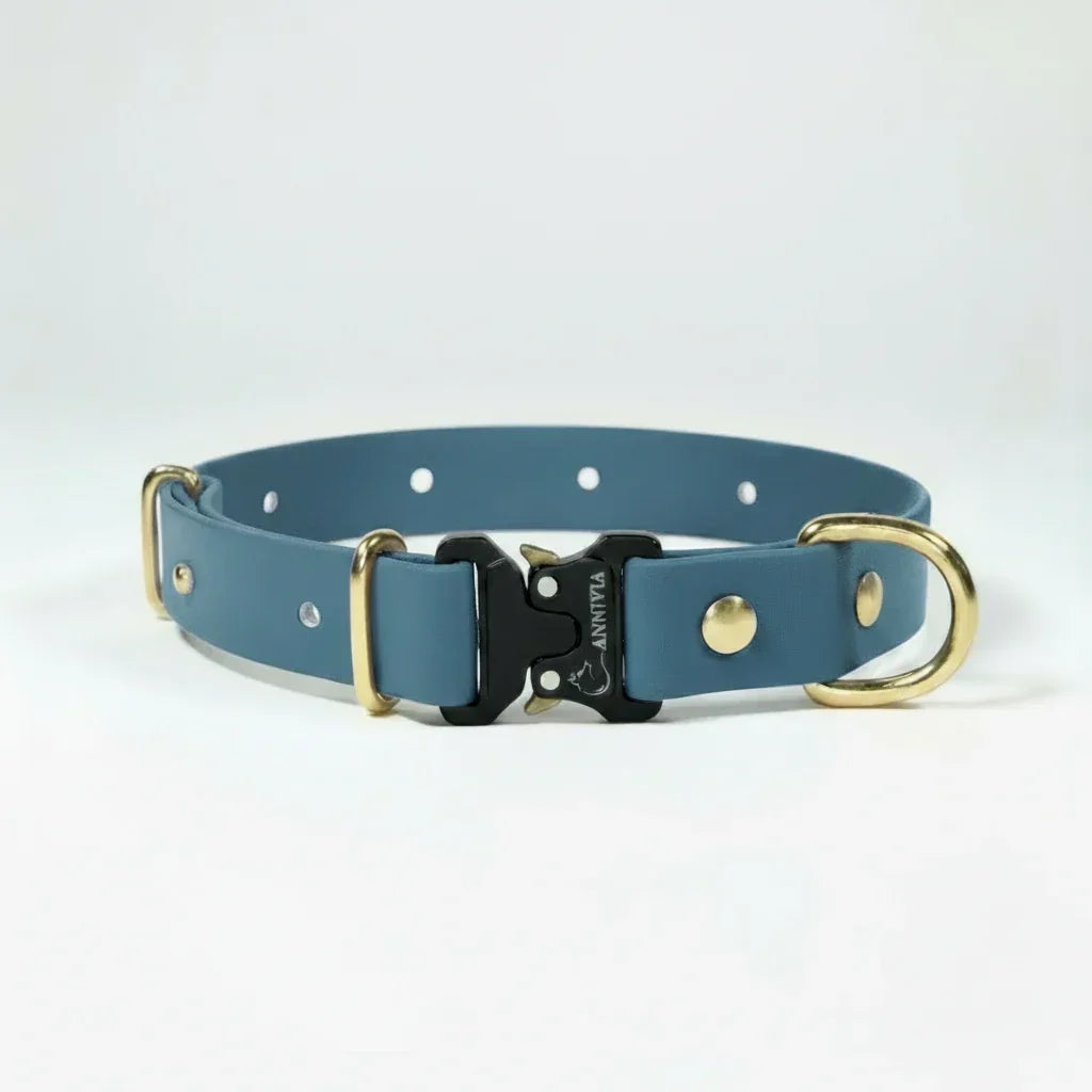 BioThane Elegance Suņu Kakla Siksna 25mm Petrol Gold
