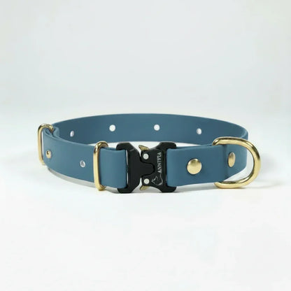 BioThane Elegance Suņu Kakla Siksna 25mm Petrol Gold