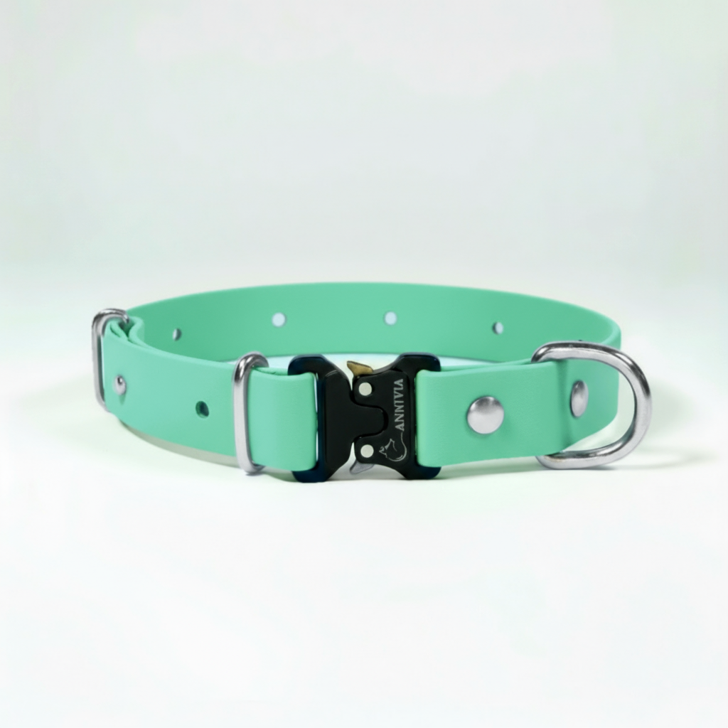 BioThane Elegance suņu kakla siksna - Caribbean Green ar sudraba detaļām