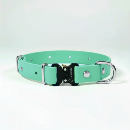 BioThane Elegance suņu kakla siksna - Caribbean Green ar sudraba detaļām