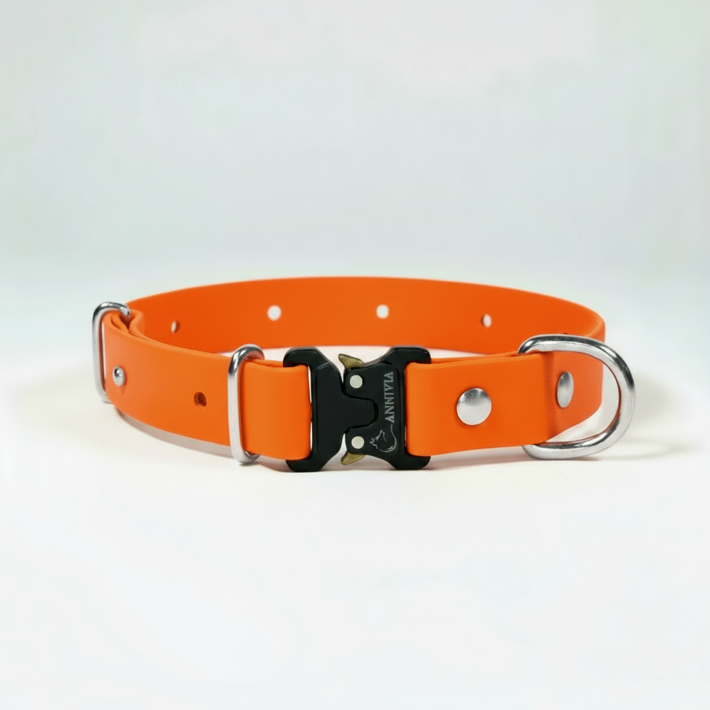 BioThane Elegance suņu kakla siksna - Orange ar sudraba detaļām