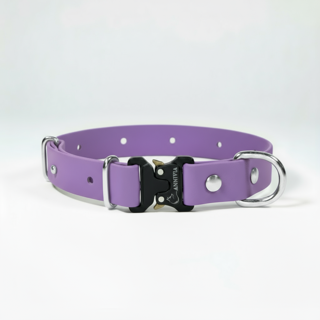 BioThane Elegance suņu kakla siksna - Orchid ar sudraba detaļām