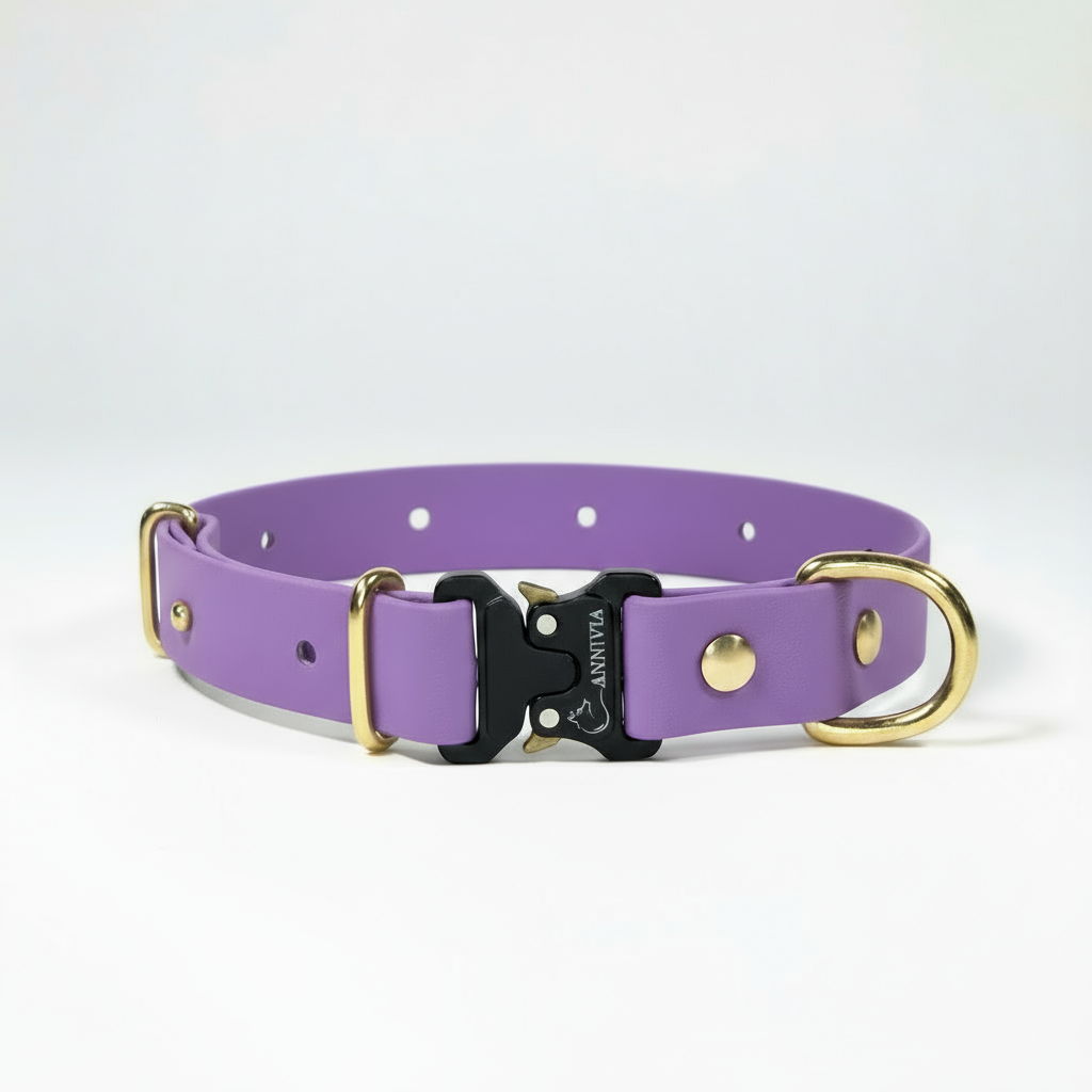 BioThane Elegance suņu kakla siksna - Orchid