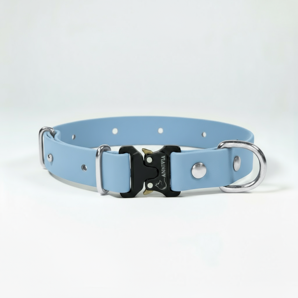 BioThane Elegance suņu kakla siksna - Polar Blue ar sudraba detaļām