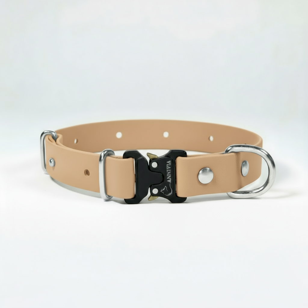 BioThane Elegance suņu kakla siksna - Powder Tan ar sudraba detaļām