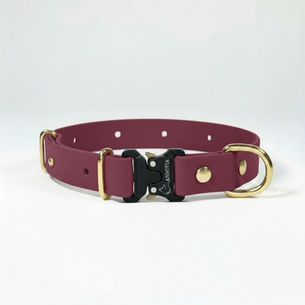 BioThane Elegance suņu kakla siksna - Wine Red