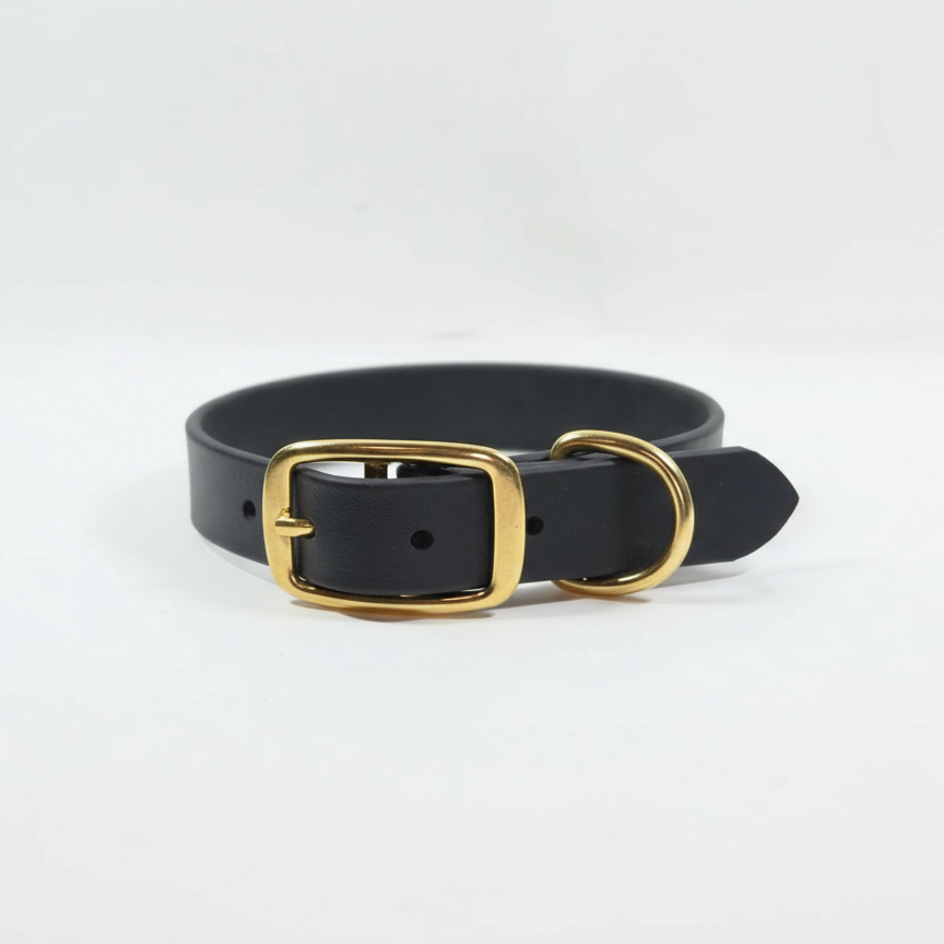 Melna BioThane suņu kakla siksna ar zelta sprādzi