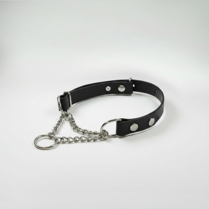 BioThane Martingeila Suņu Kakla Siksna 19mm Black