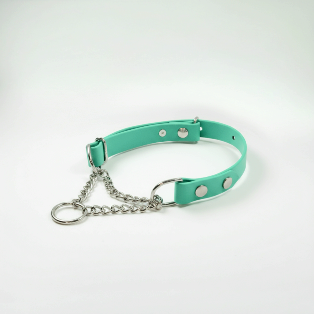 BioThane Martingeila Suņu Kakla Siksna 19mm Caribbean Green