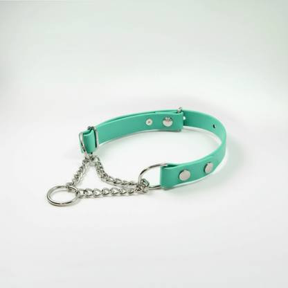 BioThane Martingeila Suņu Kakla Siksna 19mm Caribbean Green