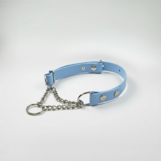 BioThane Martingeila Suņu Kakla Siksna 19mm Polar Blue