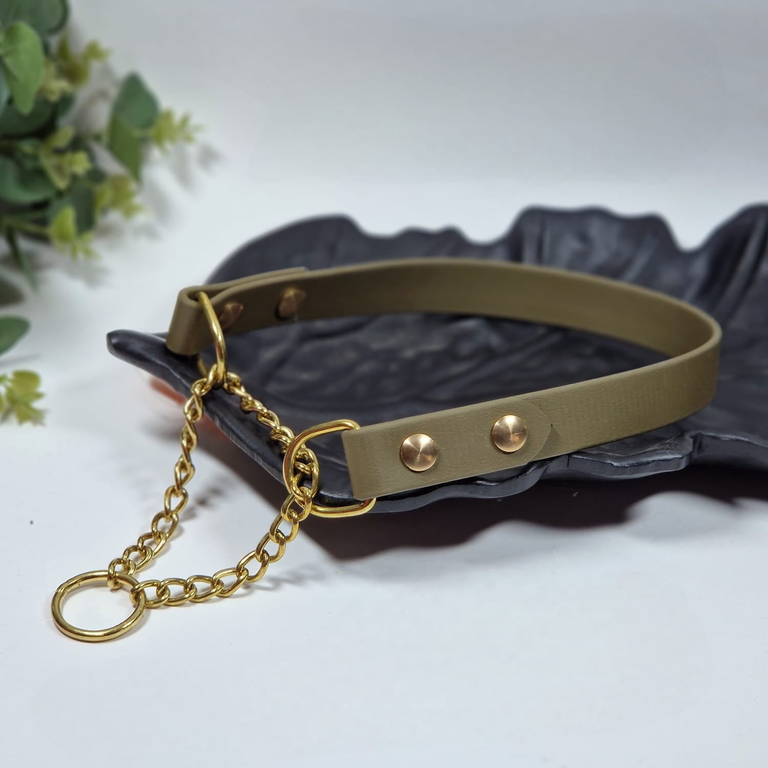 Martingeila suņu kakla siksna ar zelta ķēdīti