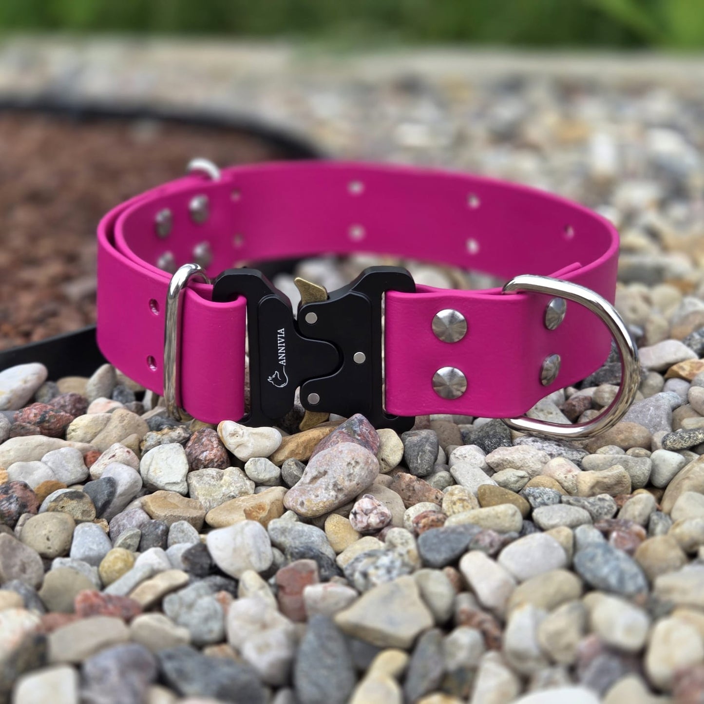 Biothane maxi eleagnc suņu kakla siksna magenta