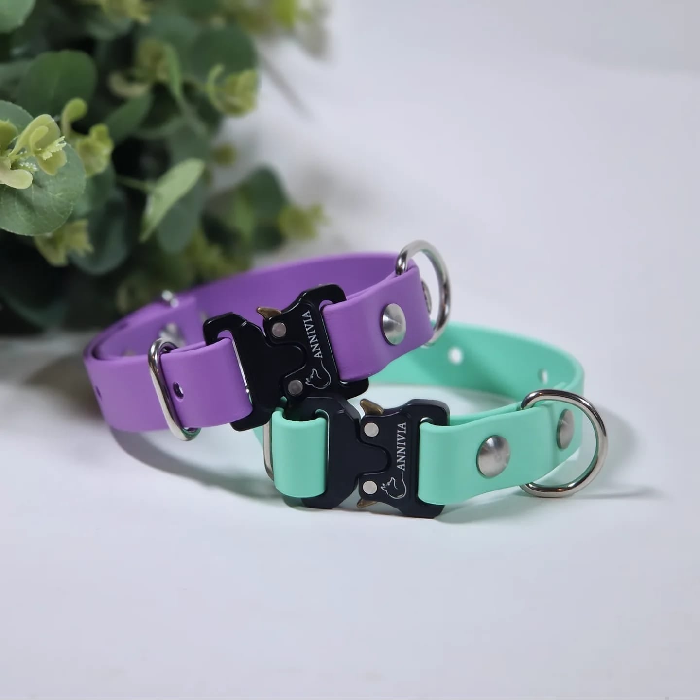 mini elegance sunu kakla siksna biothane