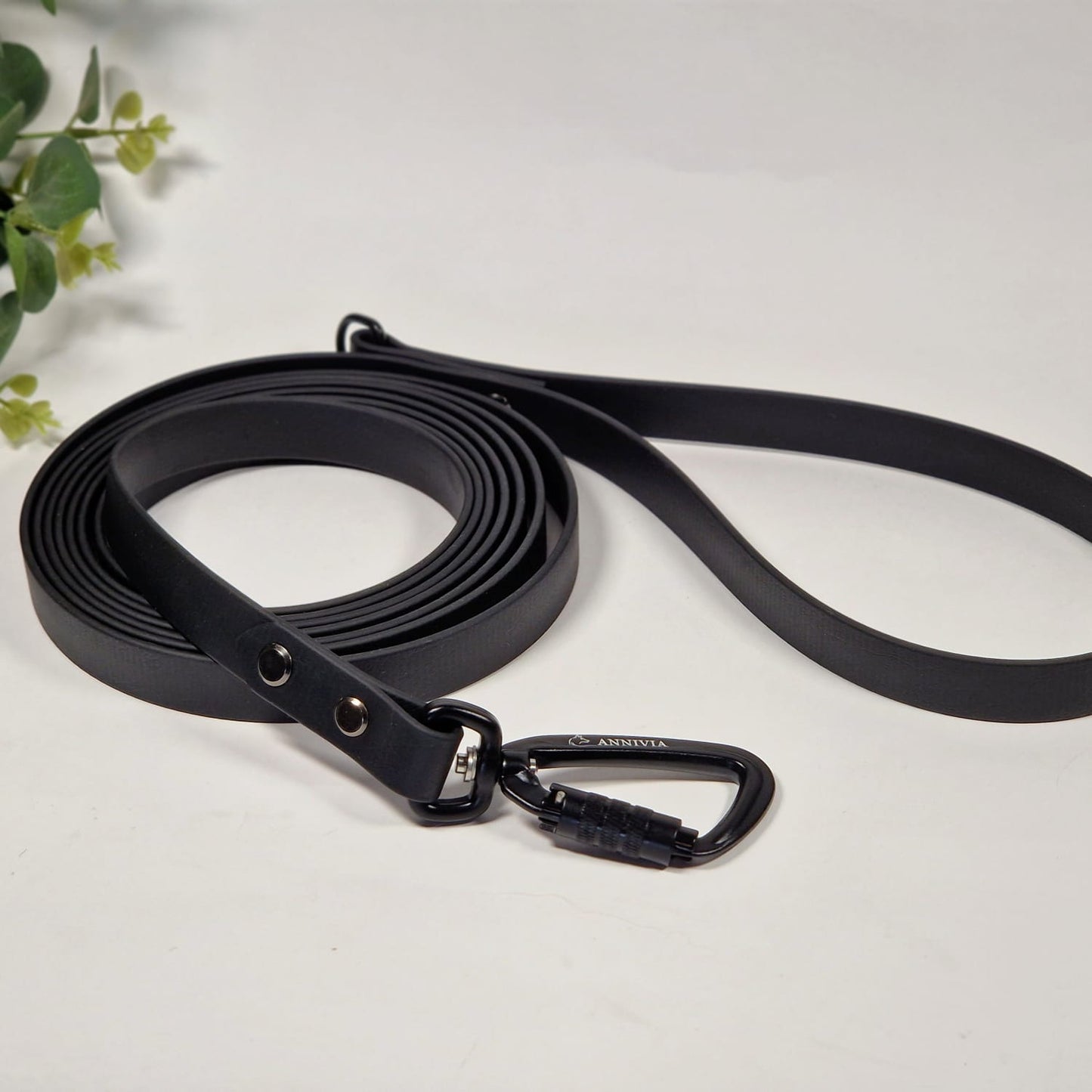 Biothane specīga suņu kakla siksna