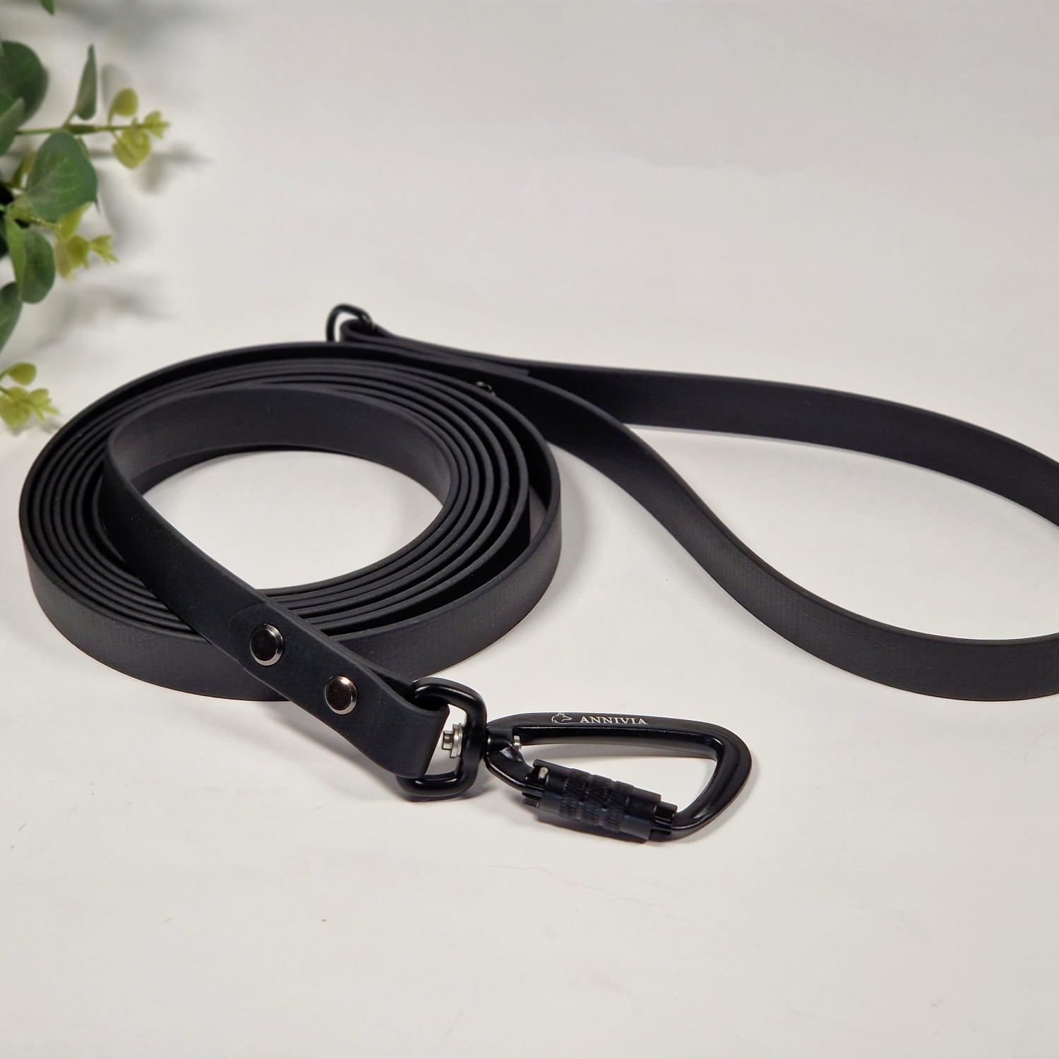 Biothane specīga suņu kakla siksna