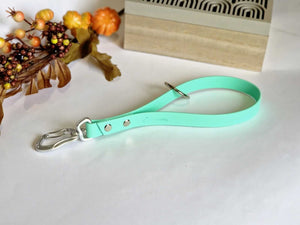 Biothane suņu pavada īsā