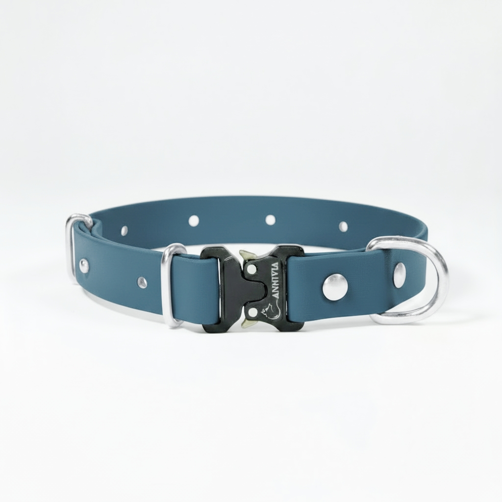 BioThane Elegance Suņu Kakla Siksna 25mm Petrol