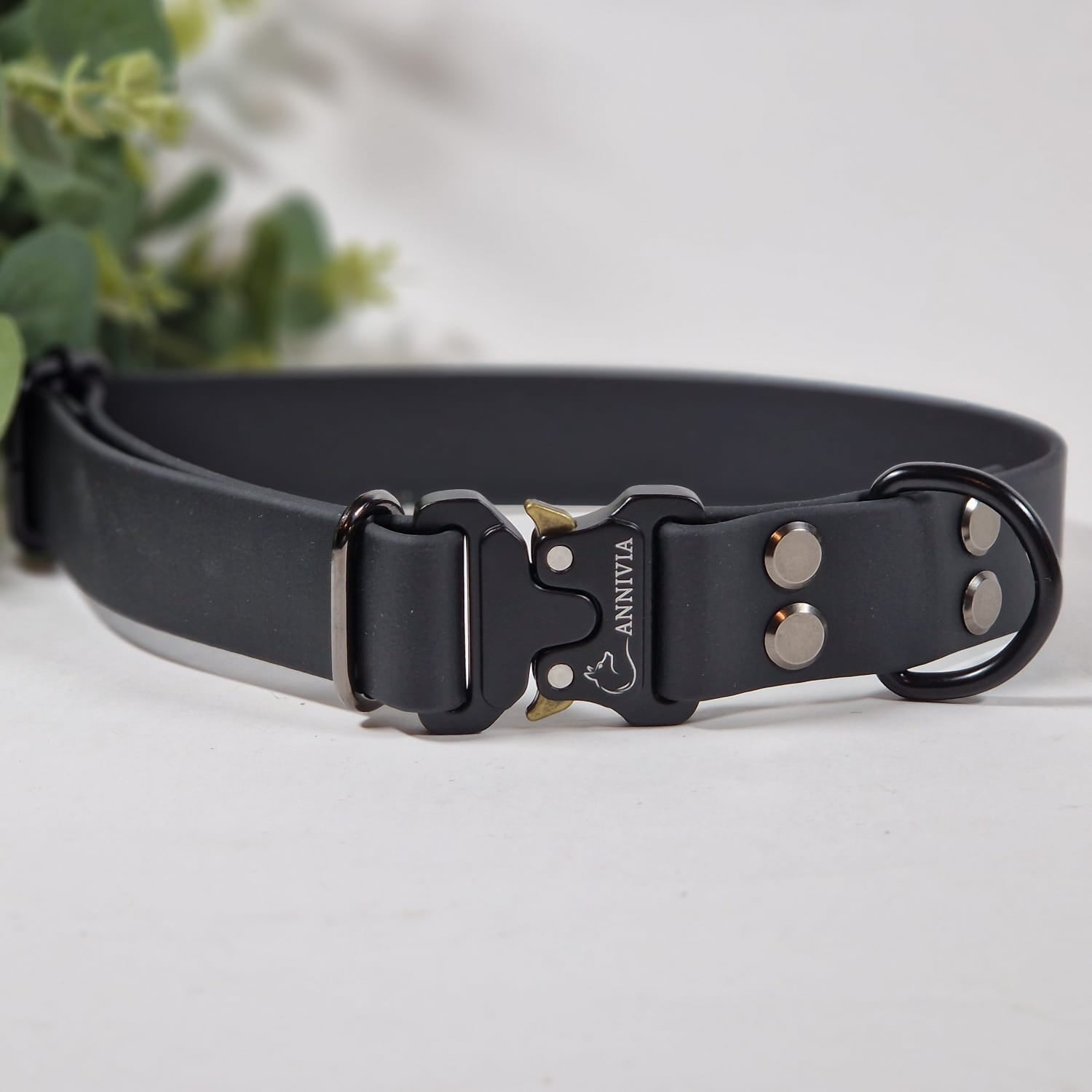 Biothne safe lock suņu kakla siksna melnā krāsā