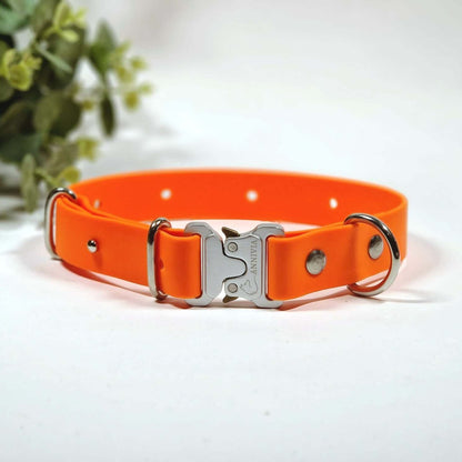 Biothane elegance suņu kakla siksna oranža