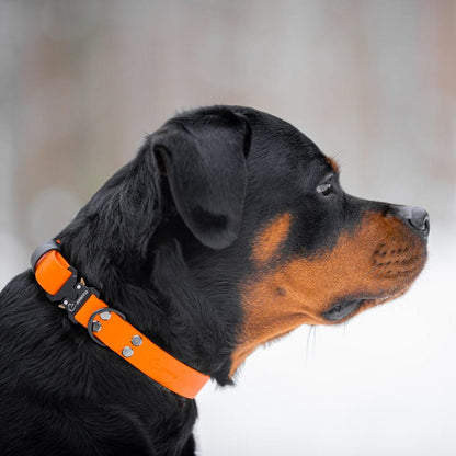 biothane sunu kakla siksna ar drosu sledzeni oranza