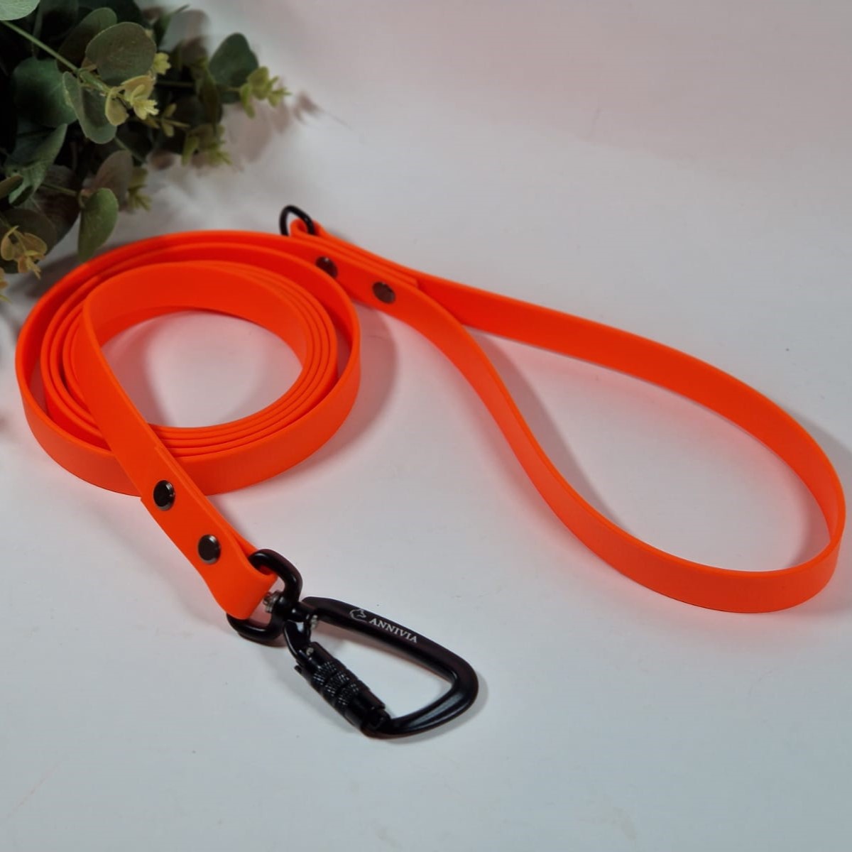 Biothane suu pavada ar spēcīgu karabīni