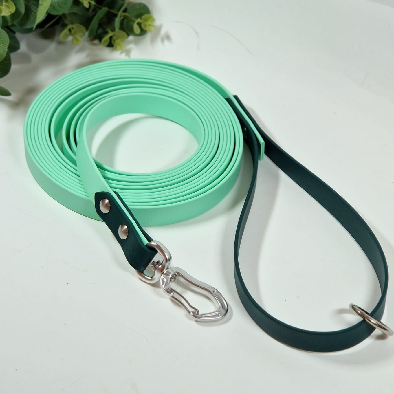 Biothane suņu pavada zaļā krāsā