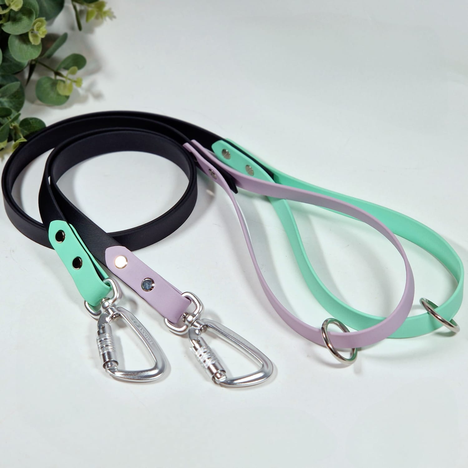 Biothane suņu ar specigm karabīnēm, ūdensizturīga,spēcīga