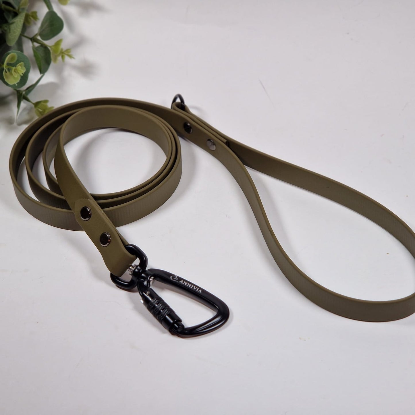 Biothane Safe lock suņu pavada - Krāsu izvēle