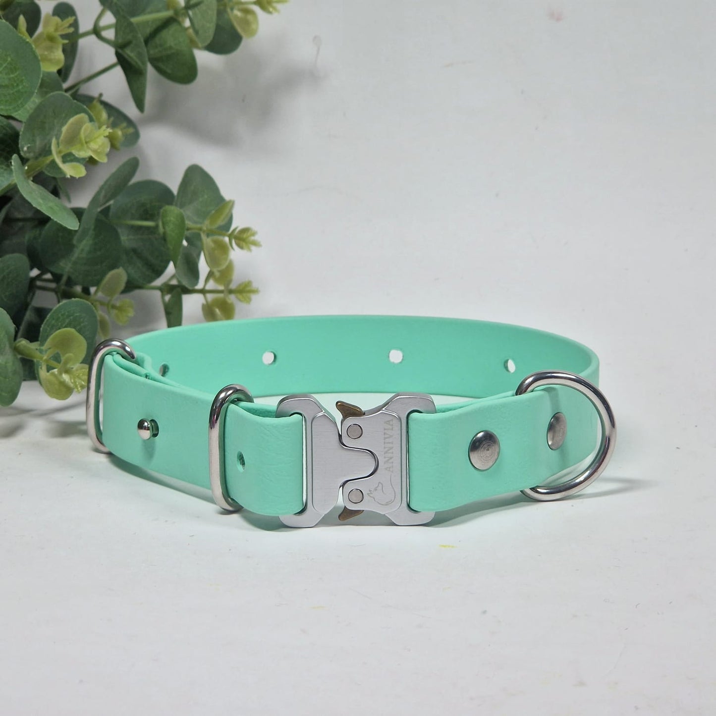Biothane Silver Elegance dog collar - Color choice