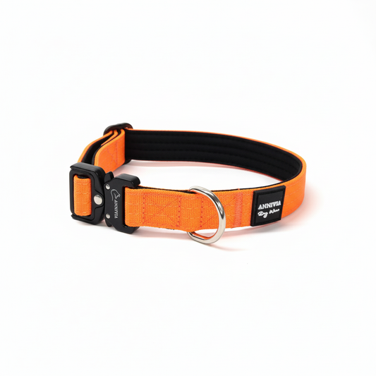 Comfort Line sunu kakla siksna 25mm - neona oranza ar melnu polsterejumu