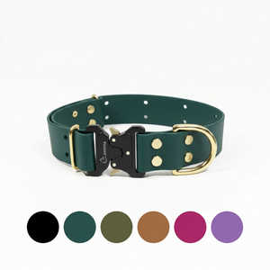 Dark Green MAXI Zelta Elegance kaklasiksna ar sešu krāsu paleti