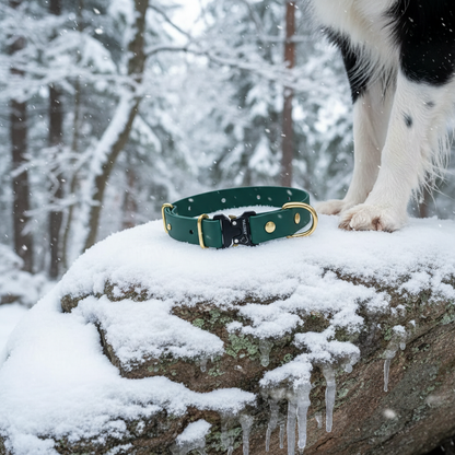 Dark Green Zelta Elegance Ziemas Mežā - Oriģinālā Siksna