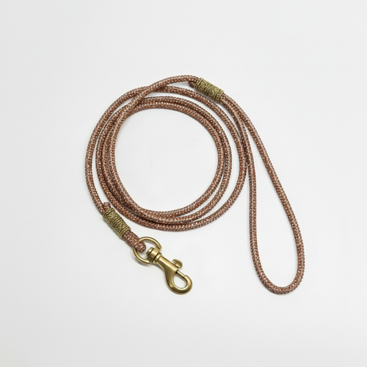 Diamond suņu Izstāžu Pavada ar Rhinestone Kristāliem - šampanietis 