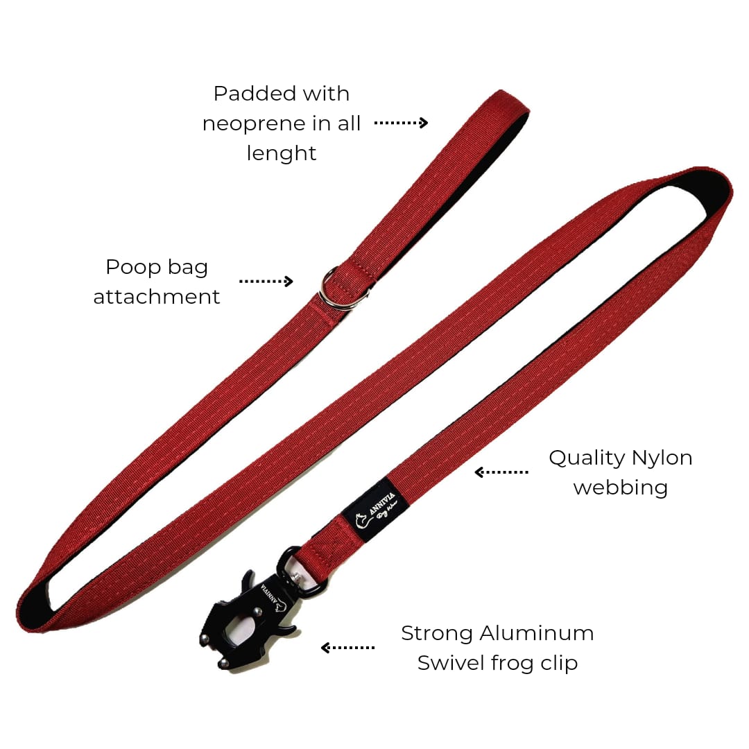 Tactical dog leash - Mint