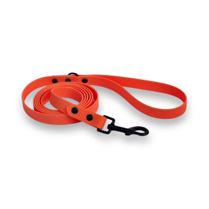 Hexa suņu pavada oranžā krāsā, viegla, spēcīga.