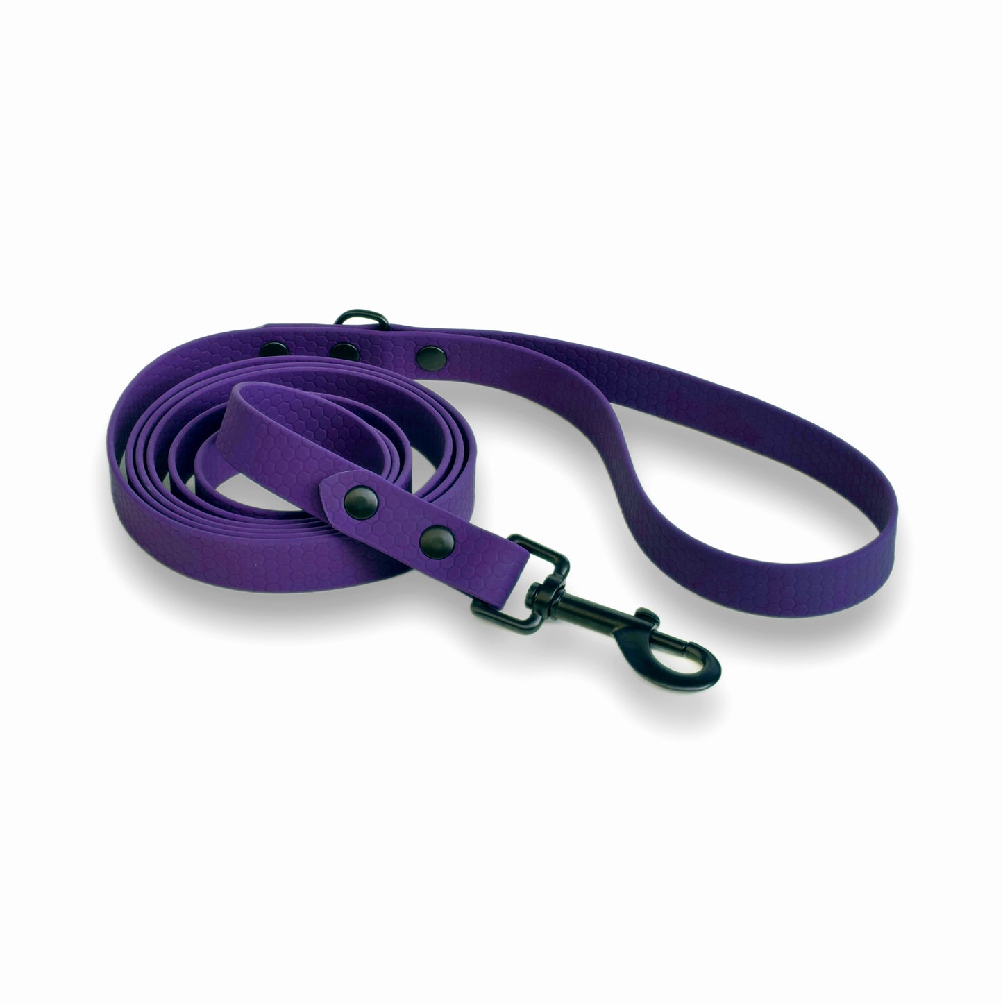 Hexa suņu pavada violeta krāsā, viegla, spēcīga.