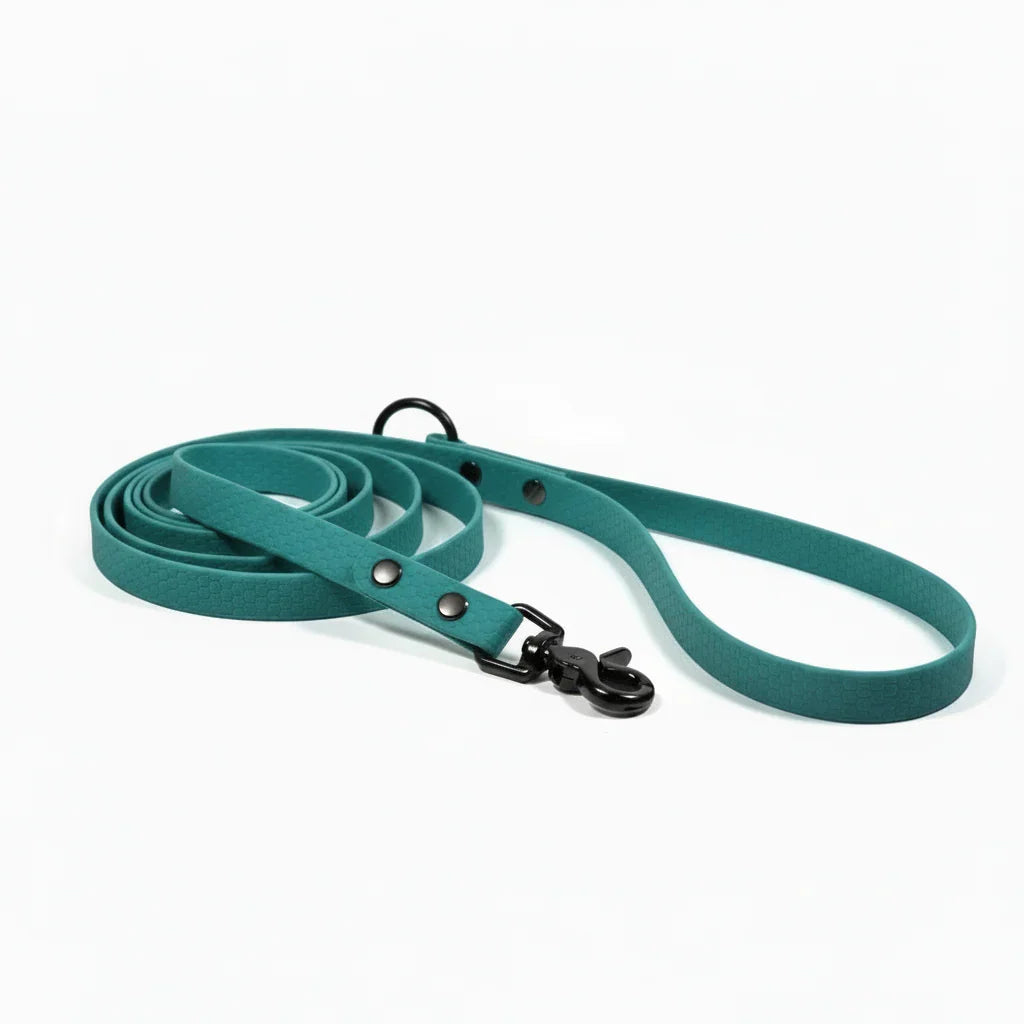 Hunter Green hexa pavada suņiem 