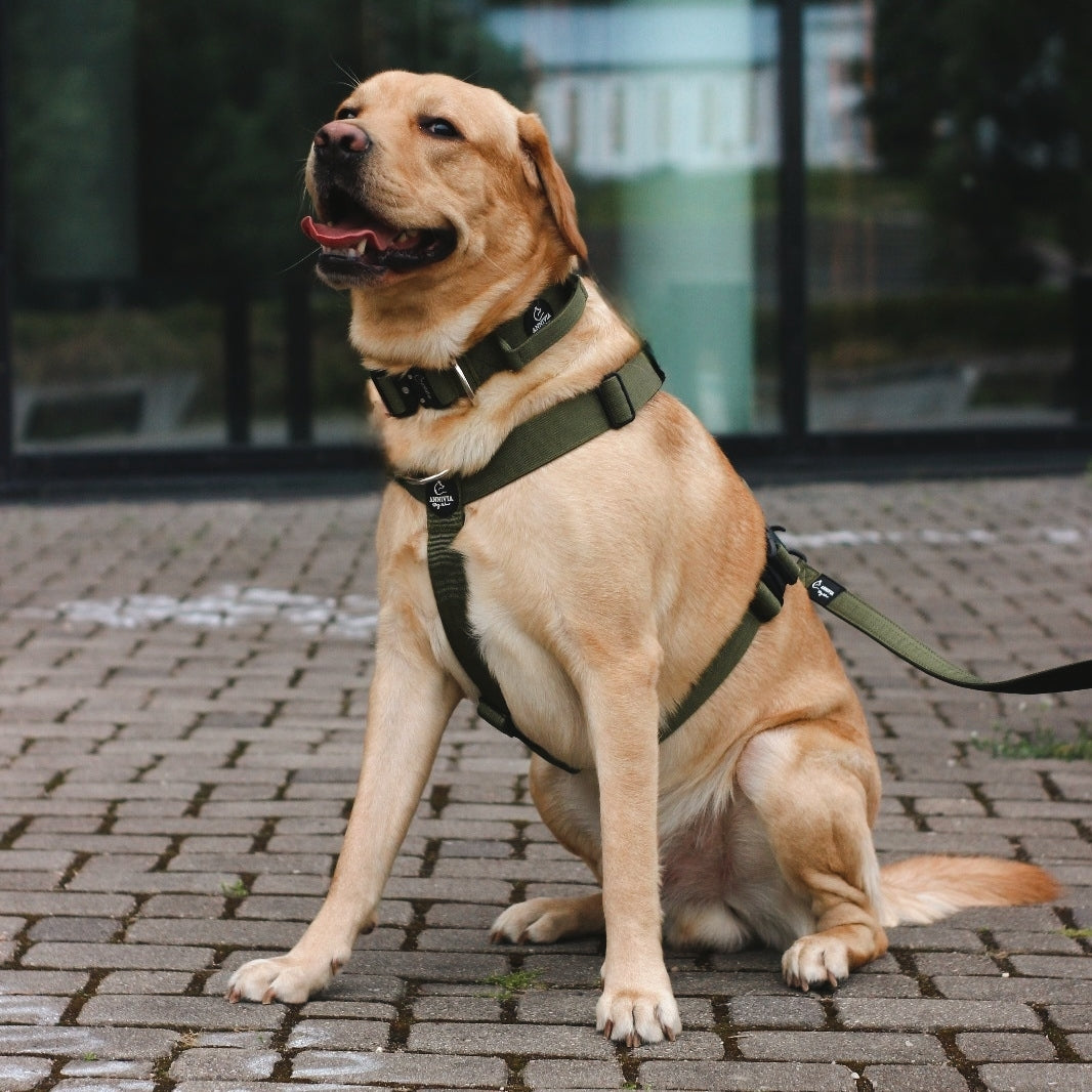 Comfort Line krūšu siksna armijas zala krāsā, papildu produkts kakla siksna